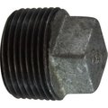 Midland Metal 112 GALV SQ HD CORED PLUG 64657